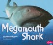 The megamouth shark