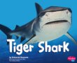 Tiger shark