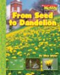 From seed to dandelion