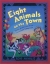 Eight animals on the town