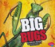 Big bugs