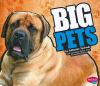 Big pets