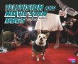 Television and movie star dogs