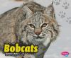 Bobcats