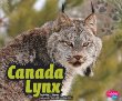 Canada lynx