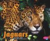 Jaguars