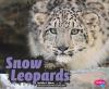 Snow leopards