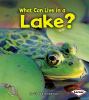 What can live in a lake?