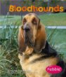 Bloodhounds