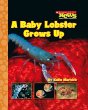 A baby lobster grows up