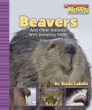 Beavers and other animals with amazing teeth