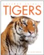 Tigers