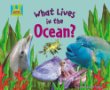 What lives in the ocean?