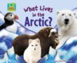 What lives in the Arctic?
