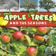 Apple trees and the seasons