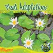 Plant adaptations