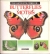 The fascinating world of butterflies and moths