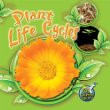 Plant life cycles