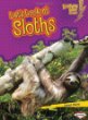 Let's look at sloths