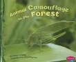 Animal camouflage in the forest