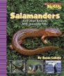 Salamanders and other animals with amazing tails :