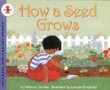 How a seed grows