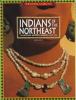 Indians of the Northeast : traditions, history, legends, and life