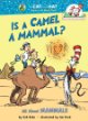 Is a camel a mammal?