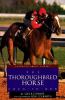 The thoroughbred horse : born to run