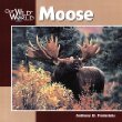 Moose