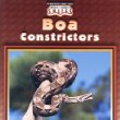 Boa constrictors