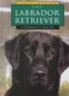 The Labrador retriever