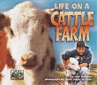 Life on a cattle farm