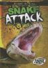 Snake attack