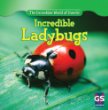 Incredible ladybugs