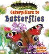 Caterpillars to butterflies