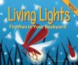 Living lights : fireflies in your backyard