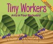 Tiny workers : ants in your backyard