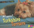 All about Yorkshire terriers