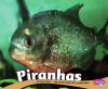 Piranhas