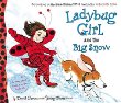 Ladybug Girl and the big snow