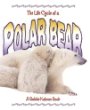The life cycle of a polar bear