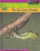 The life cycle of insects