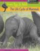 The life cycle of mammals