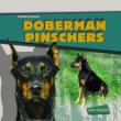 Doberman pinschers