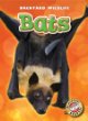 Bats