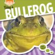 Being a bullfrog