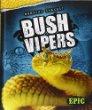 Bush vipers