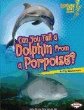 Can you tell a dolphin from a porpoise?