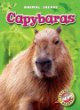 Capybaras